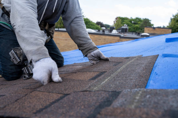 Quick and Trustworthy Emergency Roof Repair Services in Palm City, FL